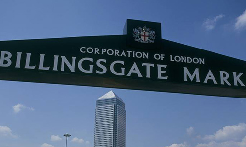 Billingsgate Fish Market Visit