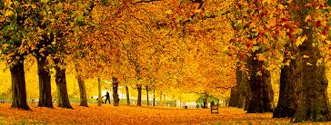 GMS Autumn Update