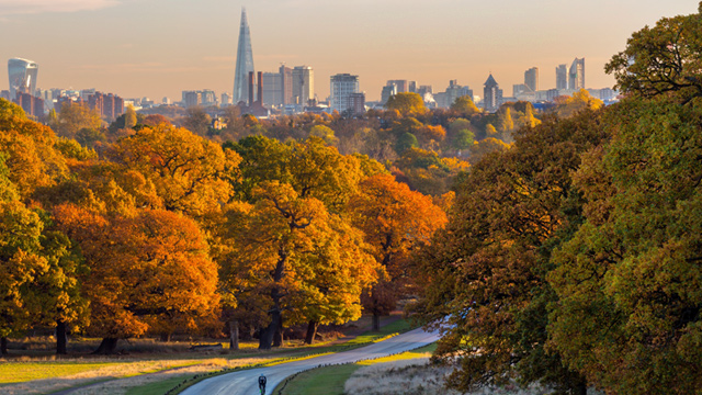 Autumn Update